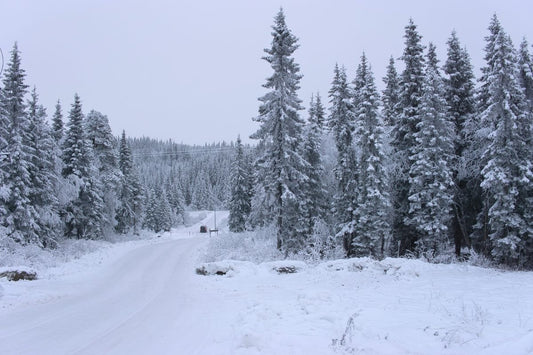 De beste skidestinasjonene i Norge og hvordan du forbereder kjøretøyet ditt for sikker vinterkjøring