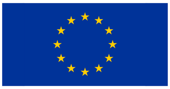 Flag of European Union: AutoSock legally accepted snow chain alternative in EU